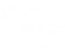 biobio logo blanco
